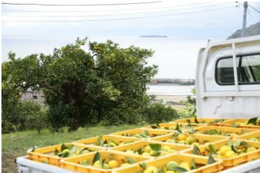 【送料無料・約32%OFF】SWITCH me ディープレストミスト3本セット/約6ヶ月分