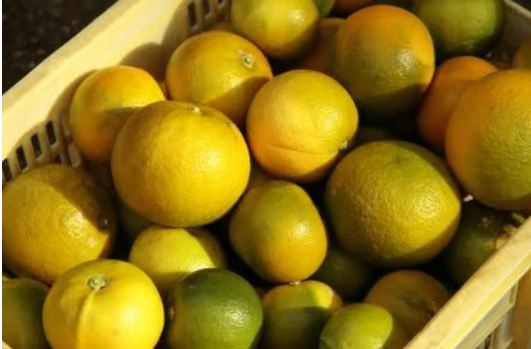 【定期お届け・送料無料】ディープレストミスト_1本30mL／2ヶ月分